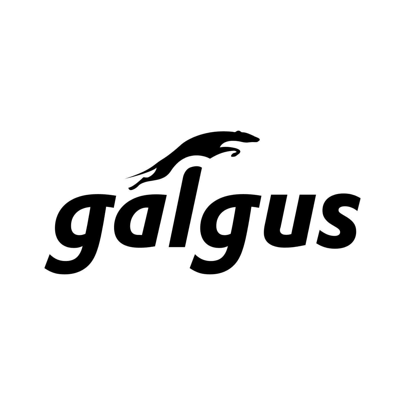 agenciarumba_Galgus_logo